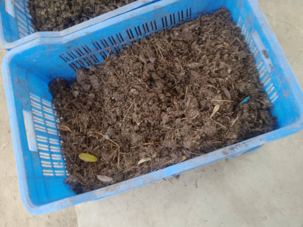 Sunvik Food Waste Composting Machine – 500 kg/day Capacity